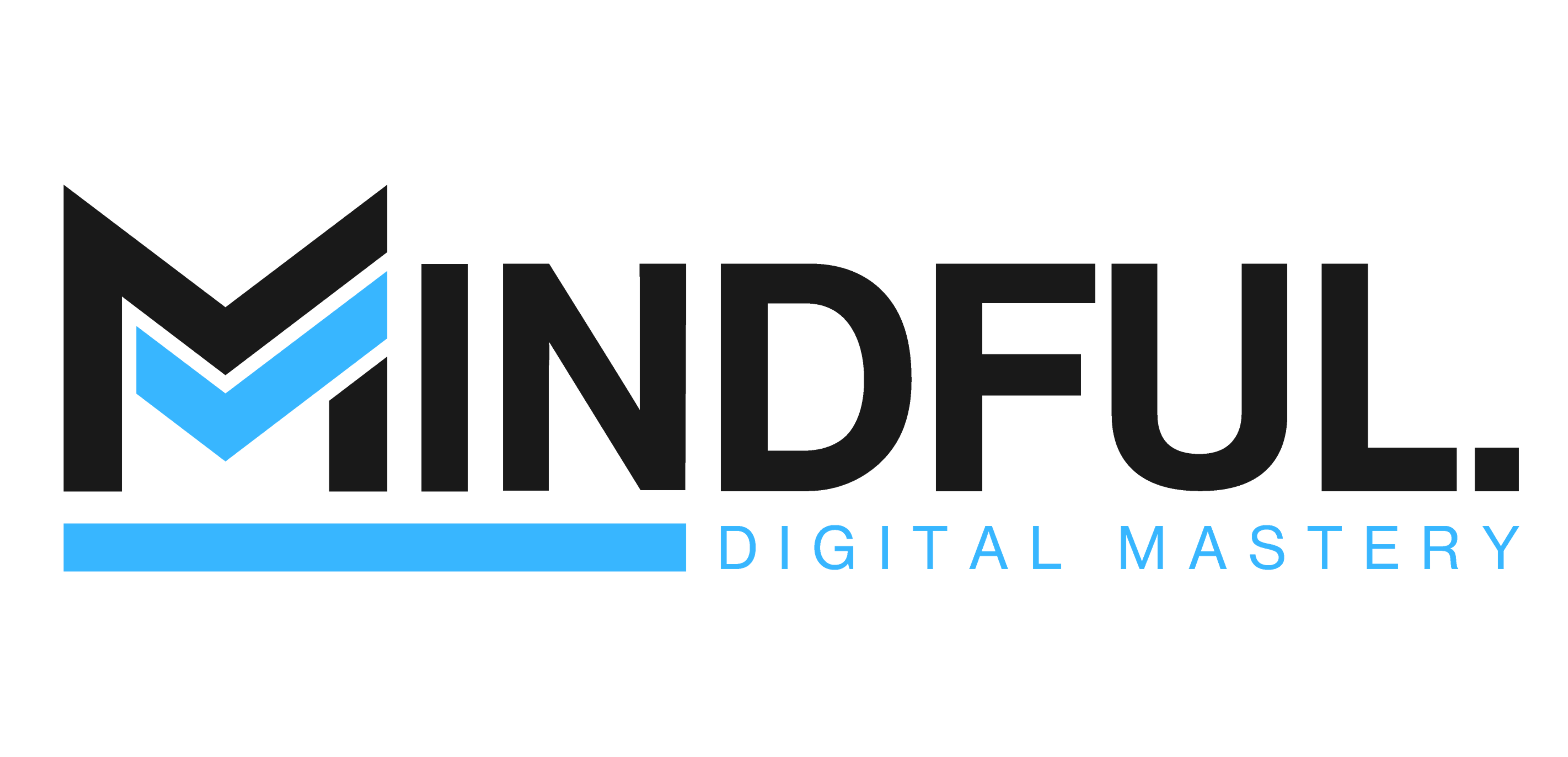 mdm software solutions gmbh